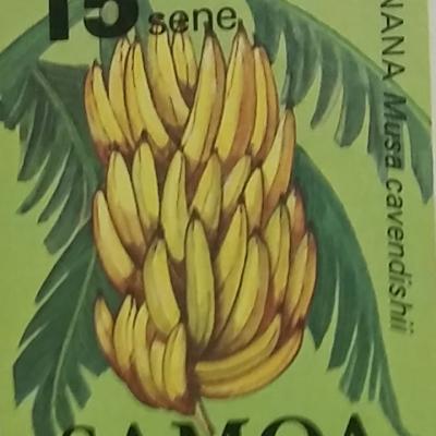 Banana 15sene